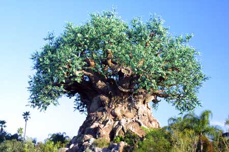                                                  What the F, Tree of Life?