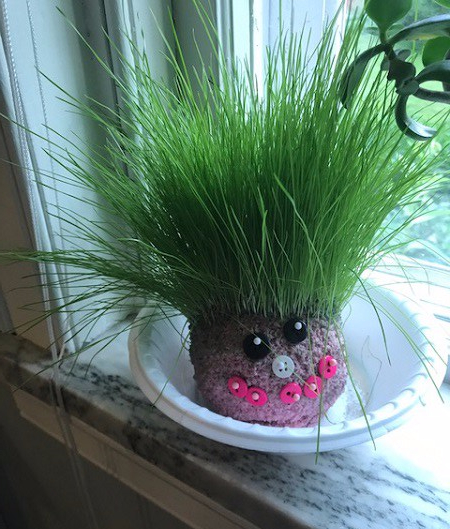 Syracuse_Chia_Pet